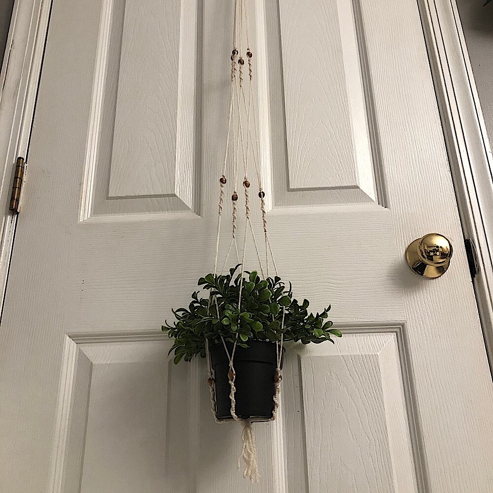 40 inch long plant hanger!